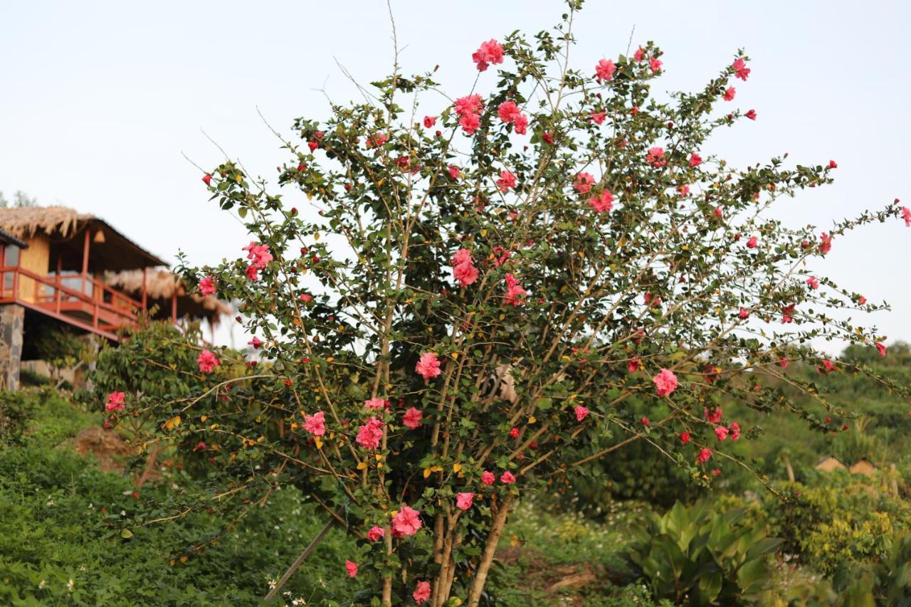 Moc Chau Peachy Garden Leilighet Eksteriør bilde
