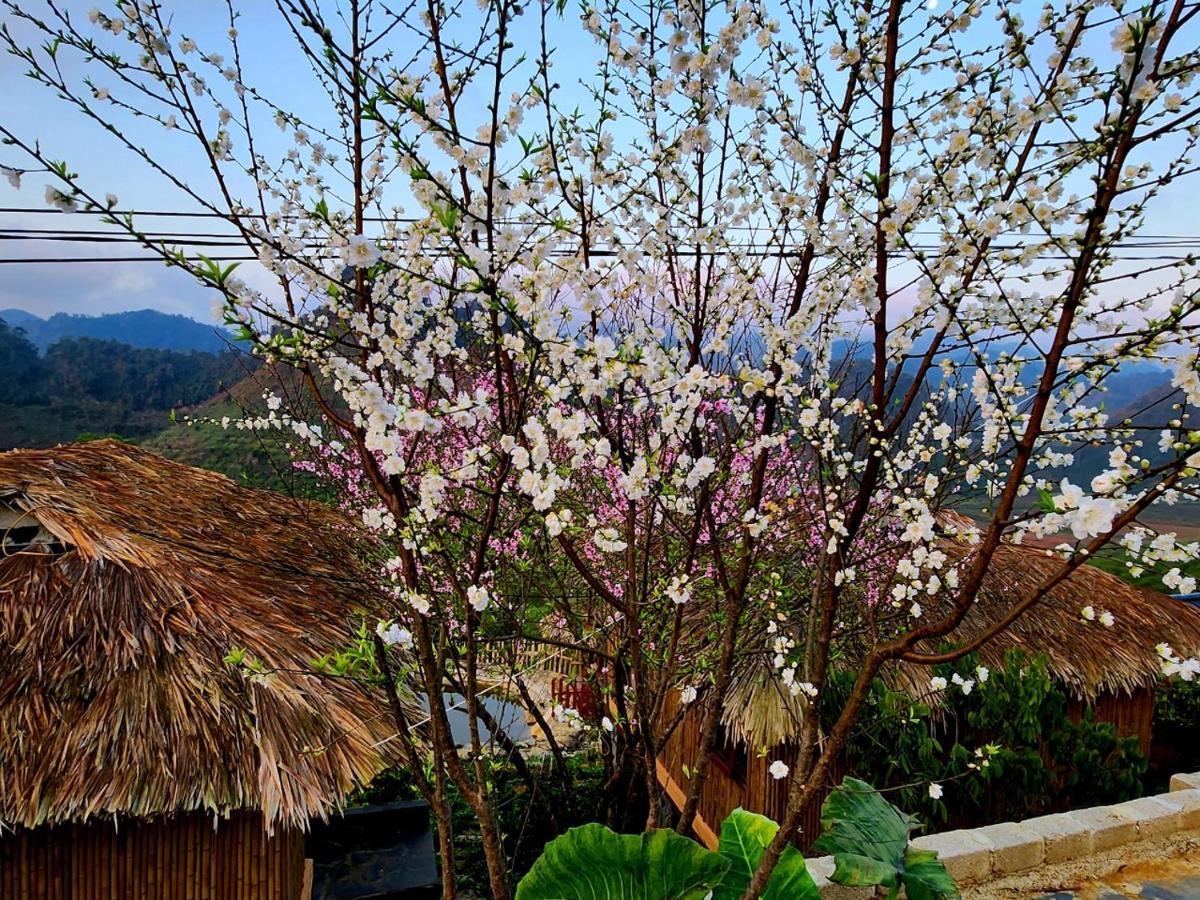 Moc Chau Peachy Garden Leilighet Eksteriør bilde