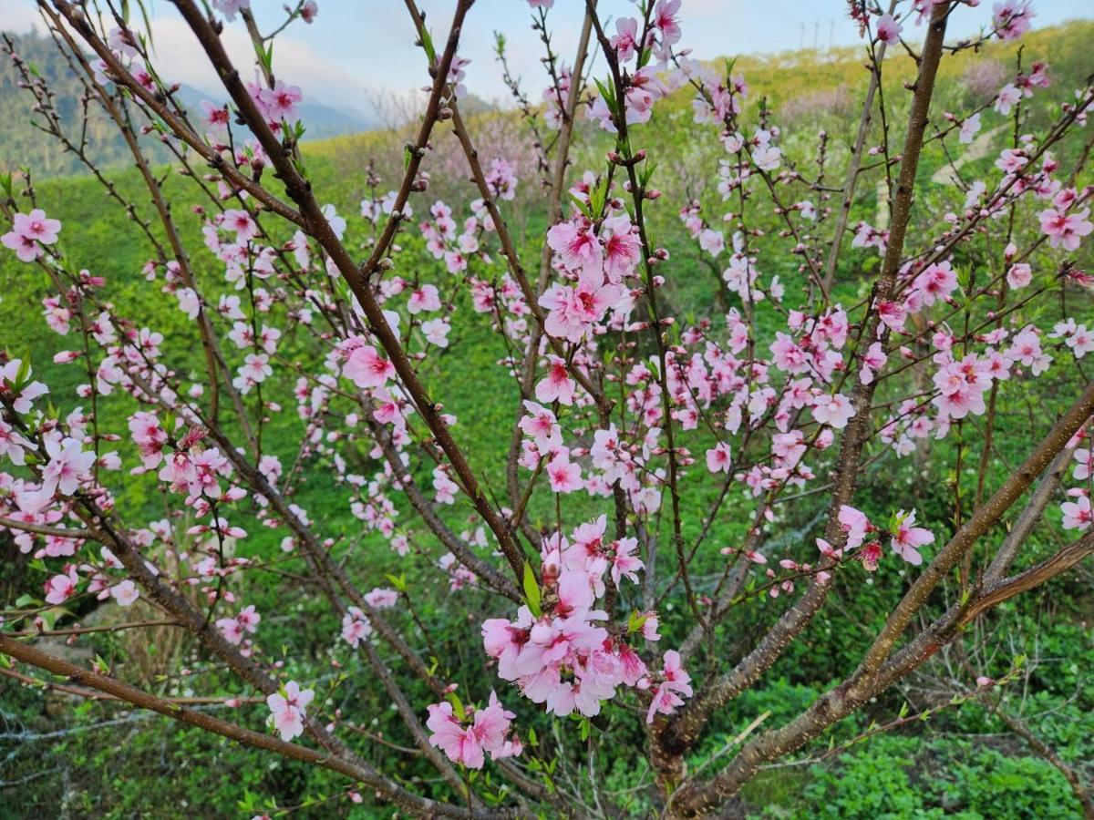 Moc Chau Peachy Garden Leilighet Eksteriør bilde