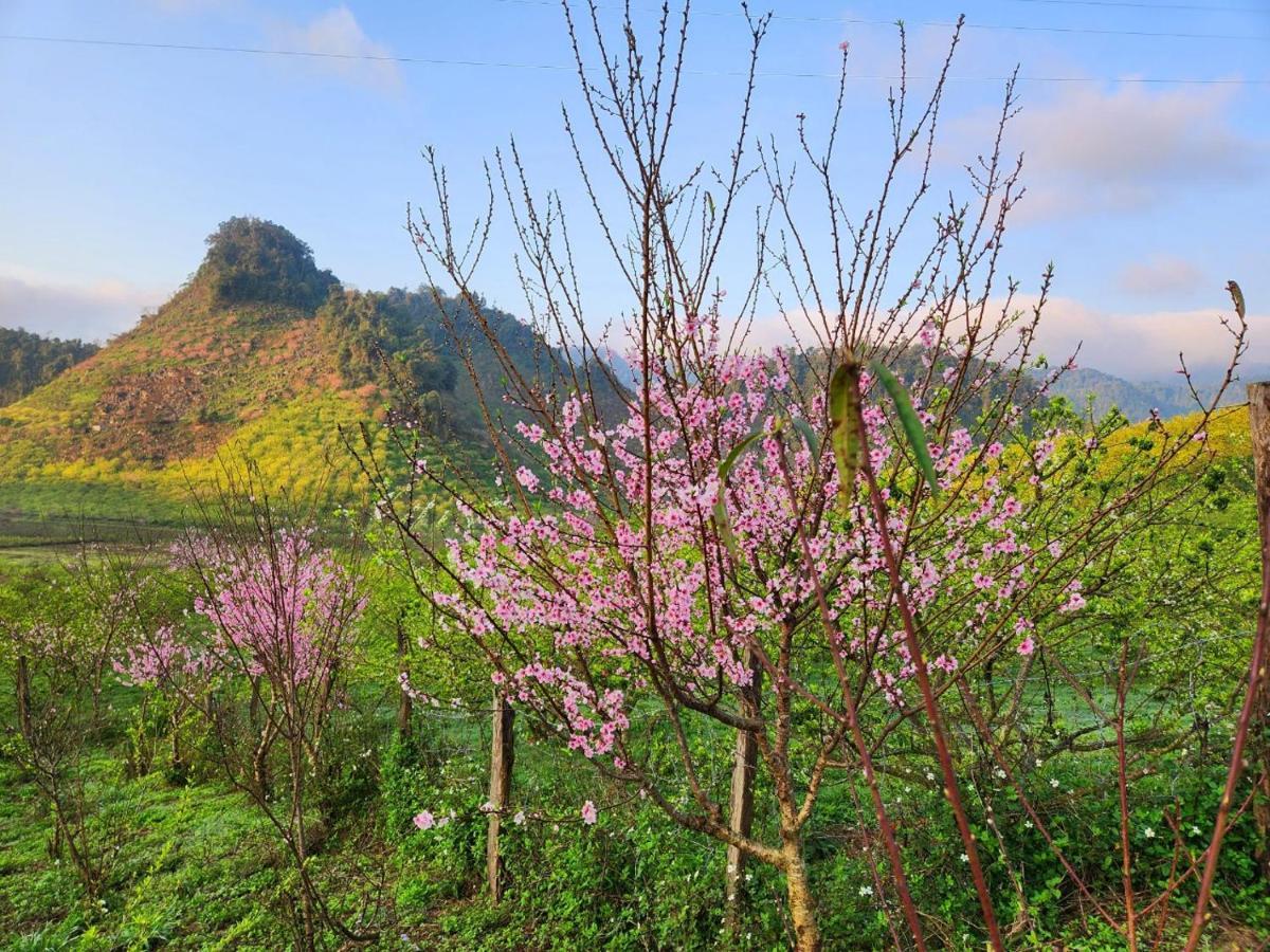 Moc Chau Peachy Garden Leilighet Eksteriør bilde