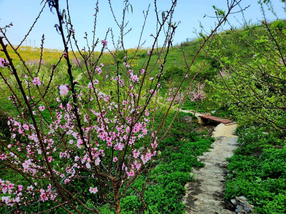 Moc Chau Peachy Garden Leilighet Eksteriør bilde