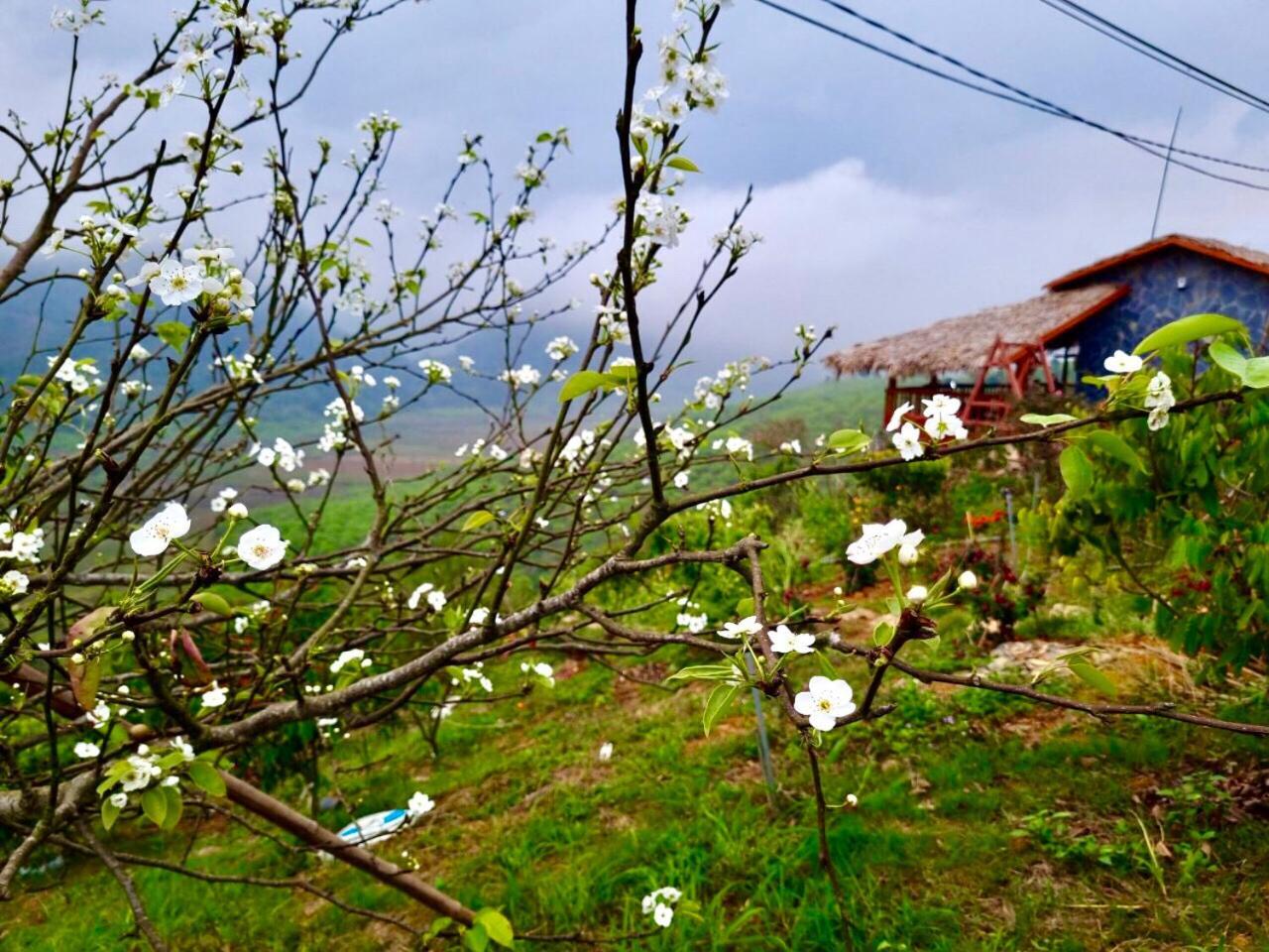 Moc Chau Peachy Garden Leilighet Eksteriør bilde