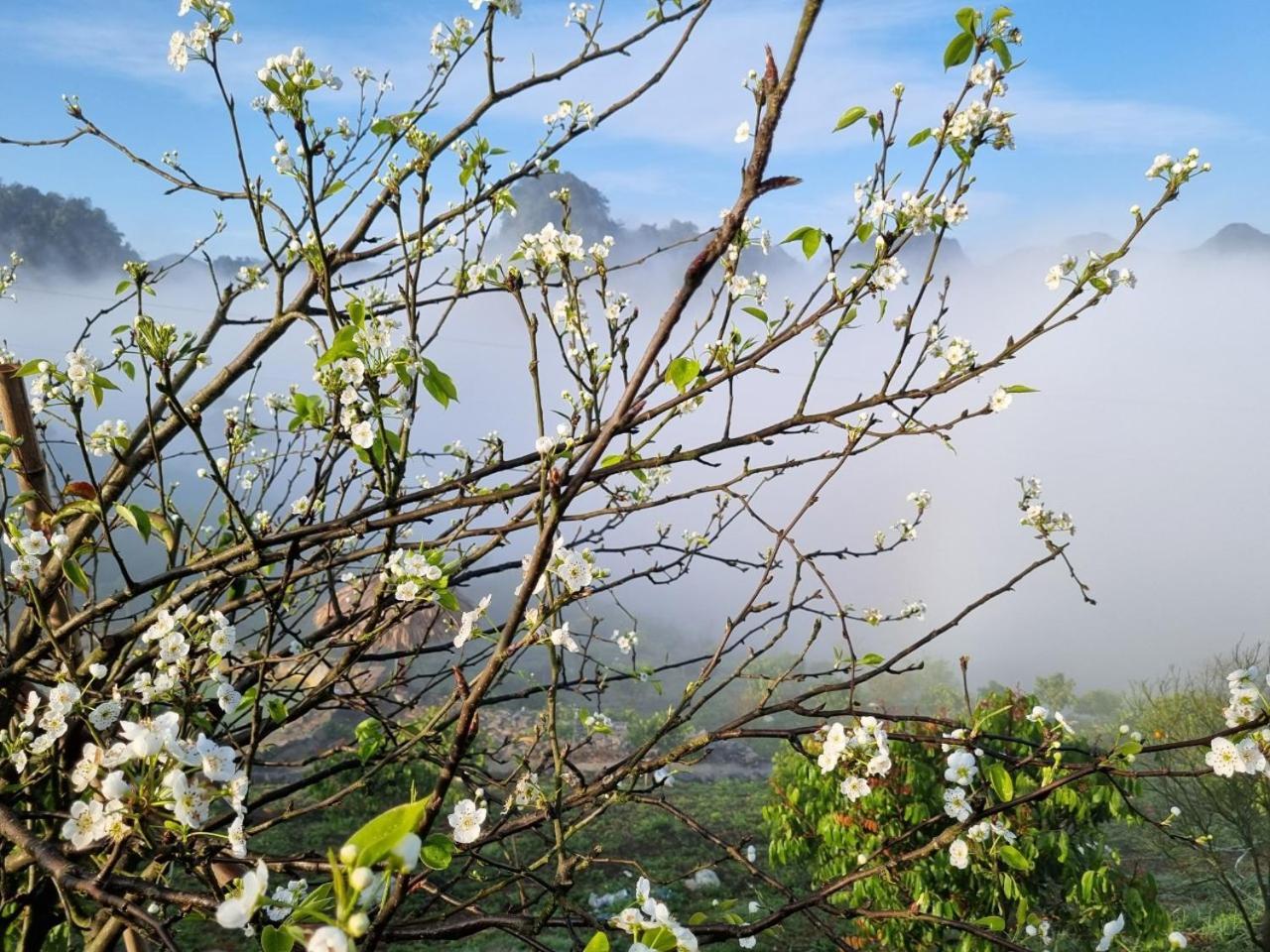 Moc Chau Peachy Garden Leilighet Eksteriør bilde