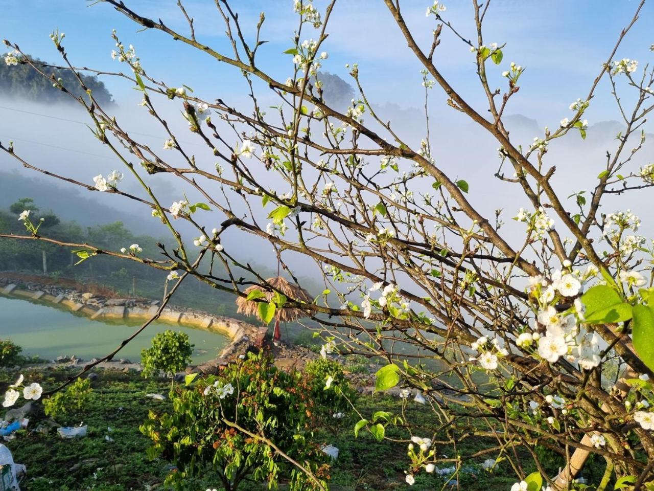 Moc Chau Peachy Garden Leilighet Eksteriør bilde